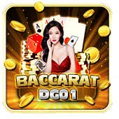 556bet