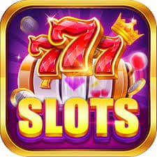 556bet