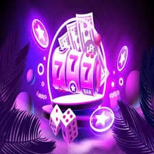 556bet