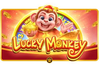 556bet