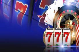 556bet